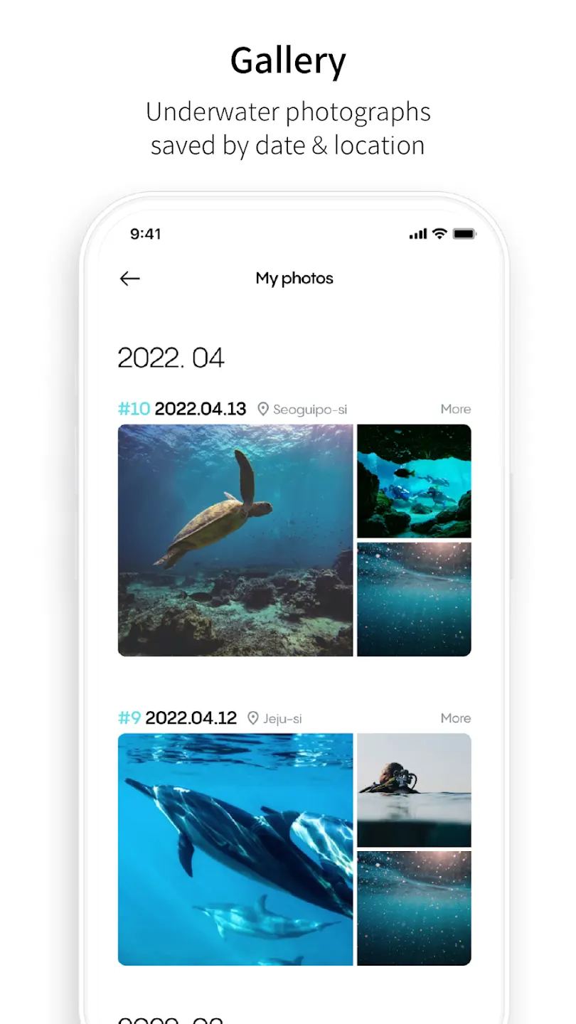 The Diveroid Android gallery screen, showing underwater photographs grouped by date and location