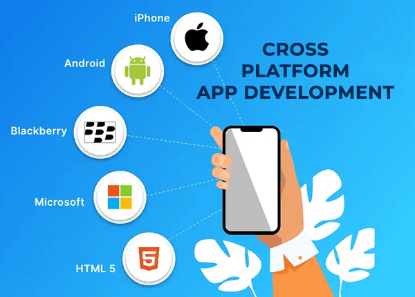 Cross Platform App Development