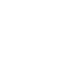 tiktokIcon